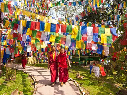 Classic Leh, Nubra Valley & Pangong